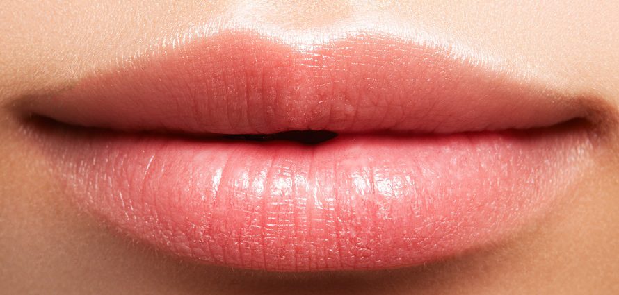 closeup of perfect female lips